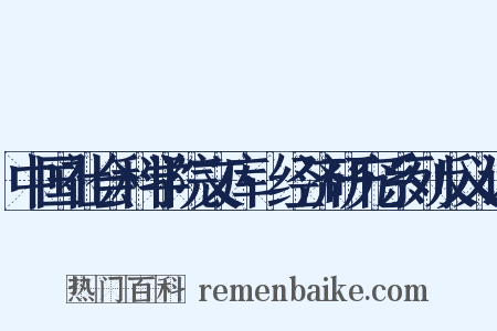 中国社会科学院文库·经济研究系列反义词是什么意思的图片